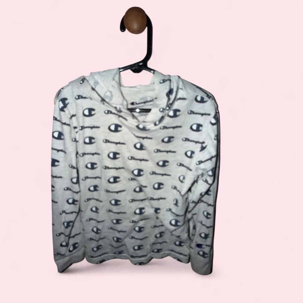 Champion Men's multi Hoodie